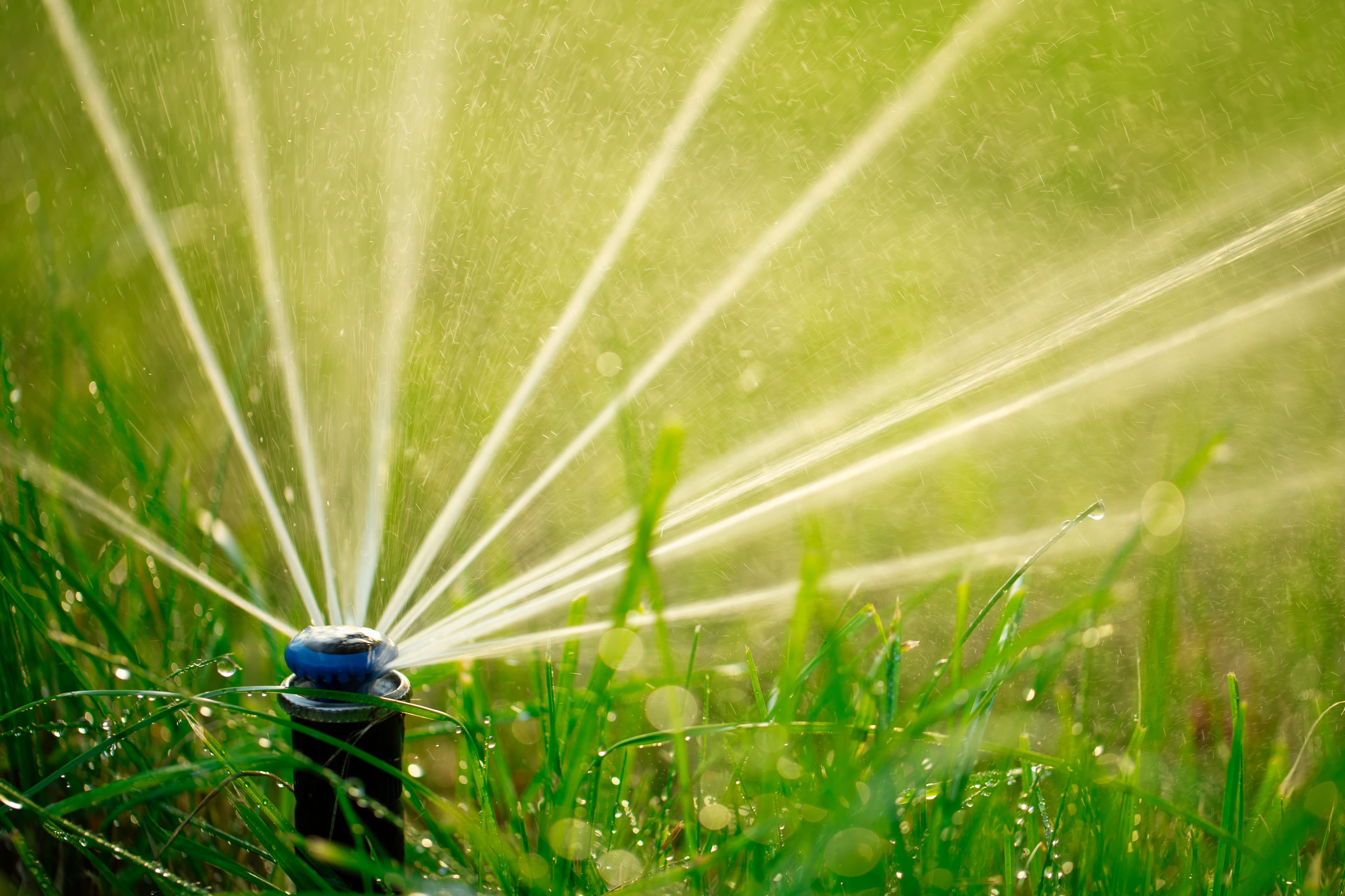 Irrigation