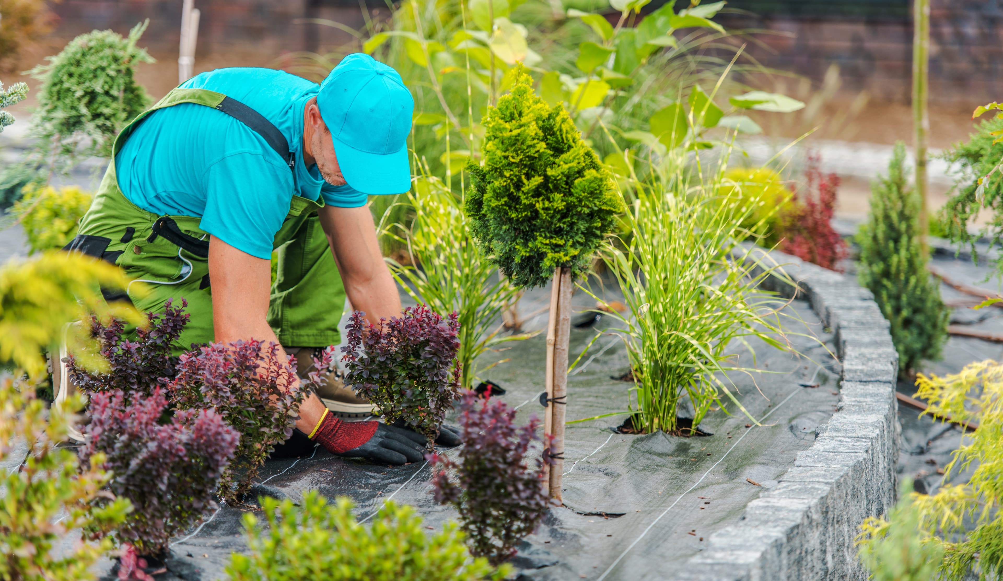 Landscaping