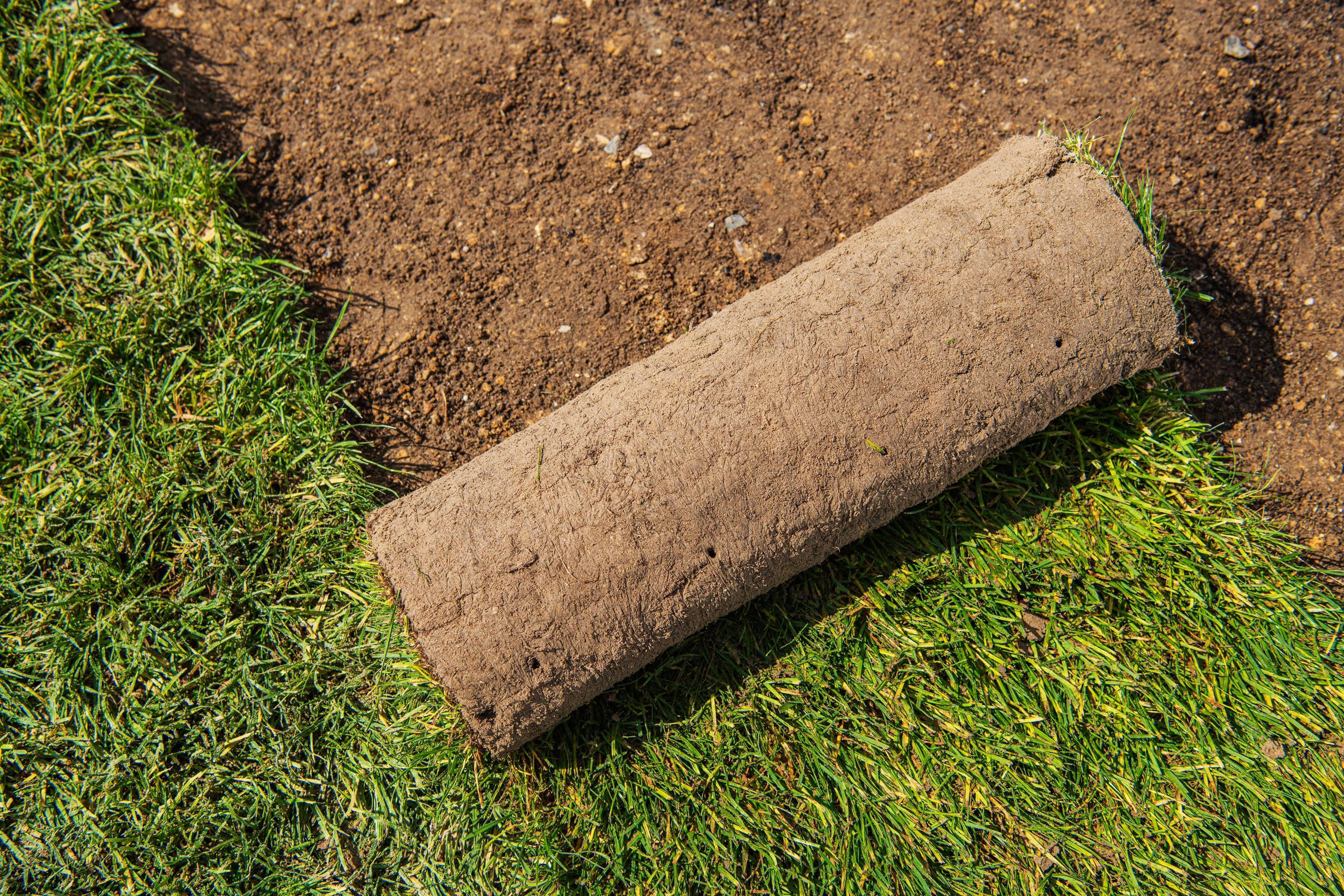 Sod Installation