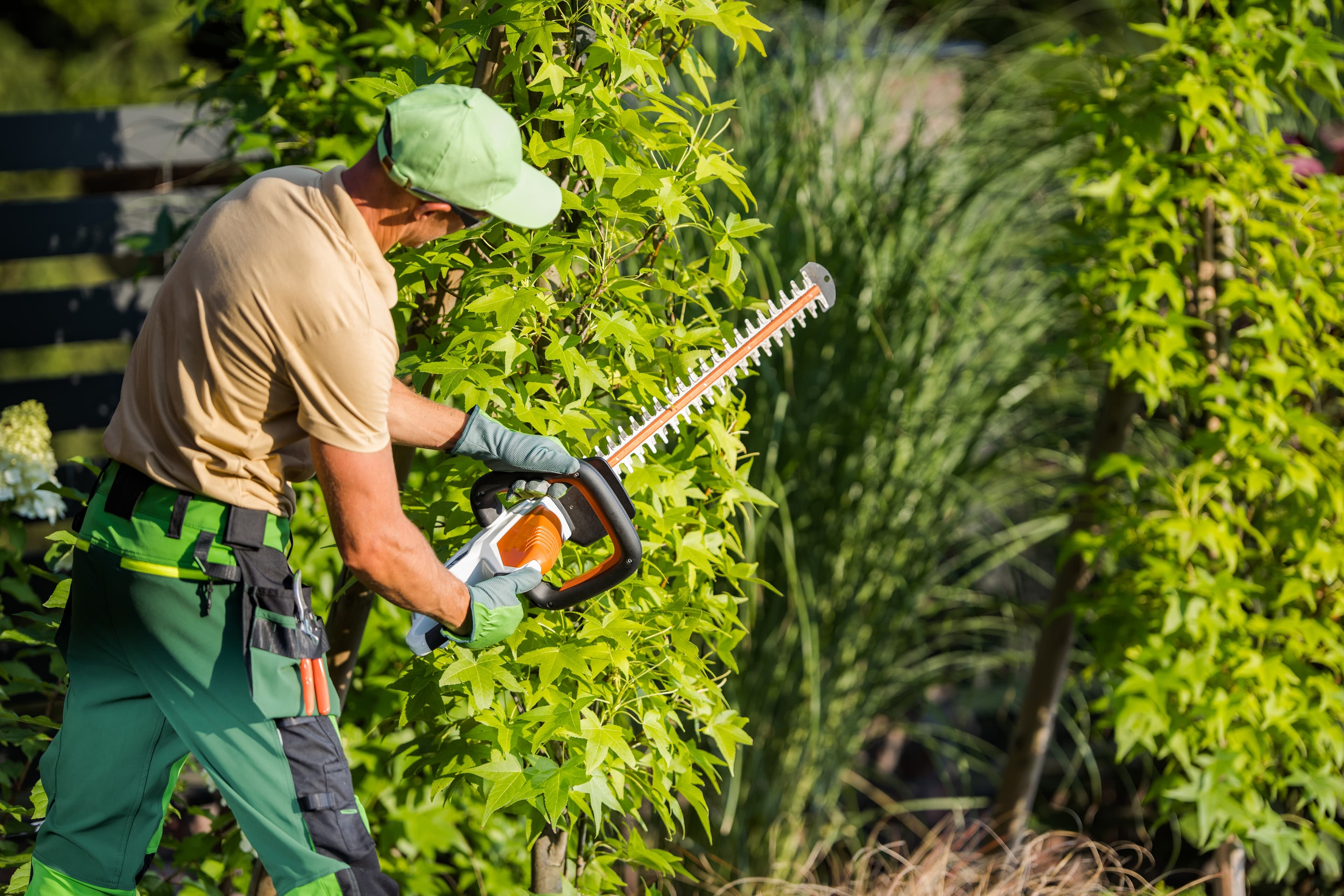 Tree Trimming & Removal